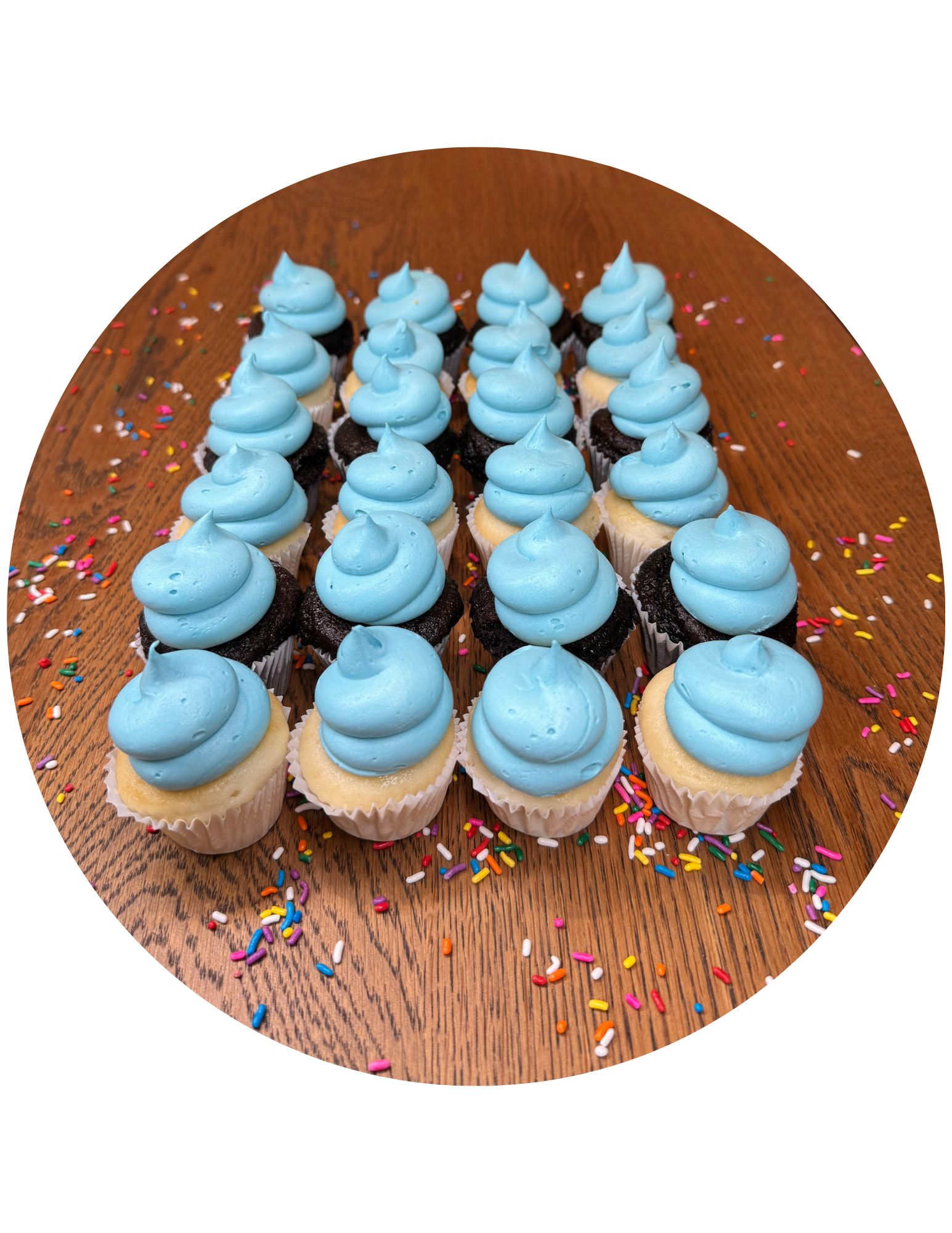 24 Mini Blue Swirl Cupcakes (1/2 Vanilla 1/2 Chocolate)