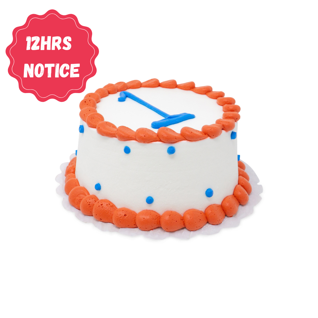Smash Cake (Pick your own colors)