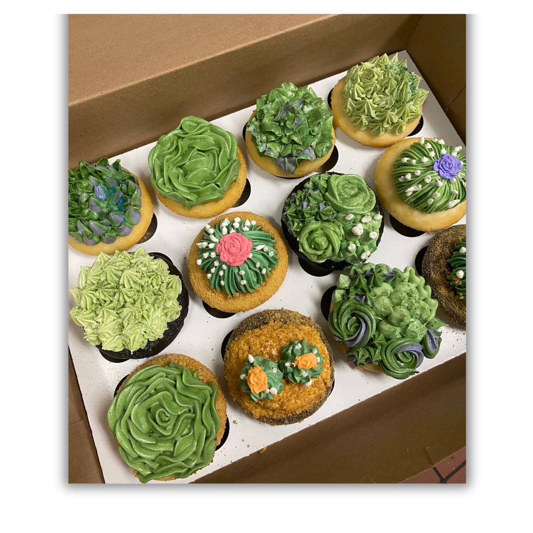 Succulent Cupcakes