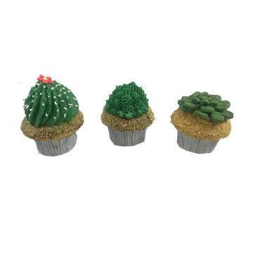 Succulent Cupcakes